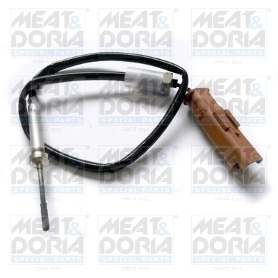 Sensor, exhaust gas temperature